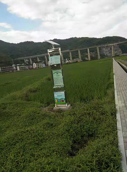 景观式杀虫器四川高标准农田示范区应用