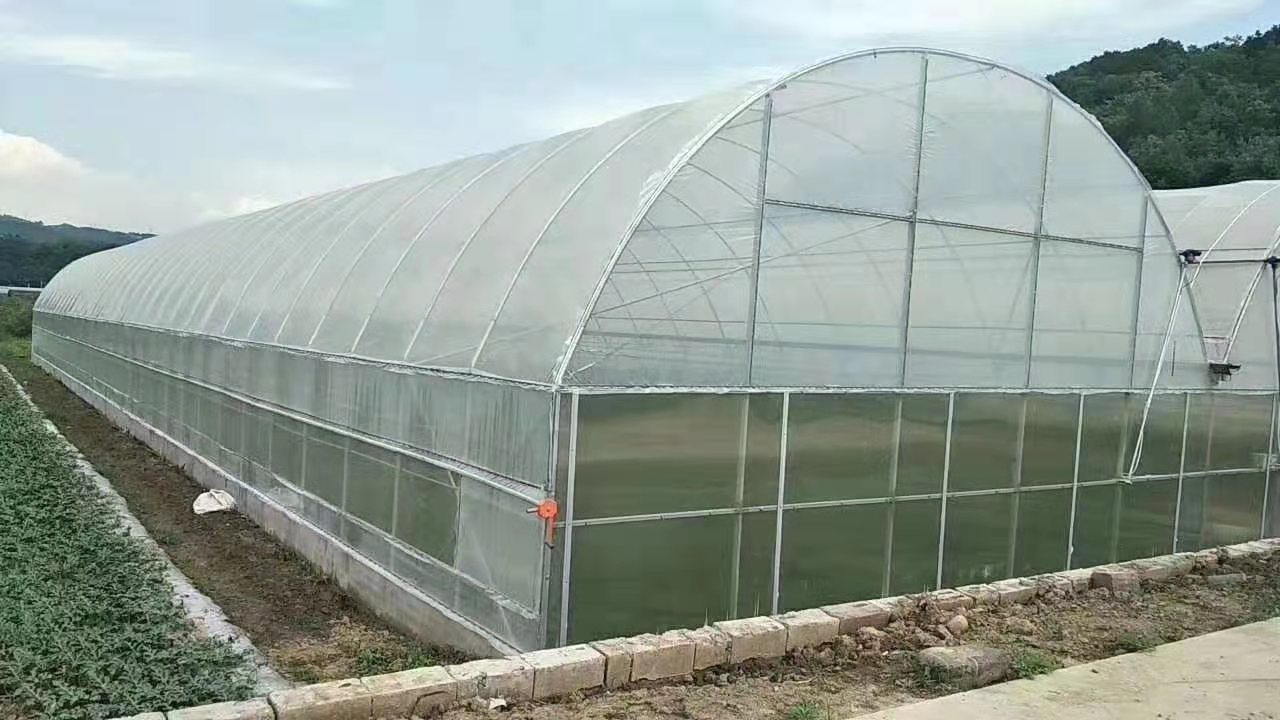 微信图片_202103100910082.jpg 微信图片_202103100910082.jpg