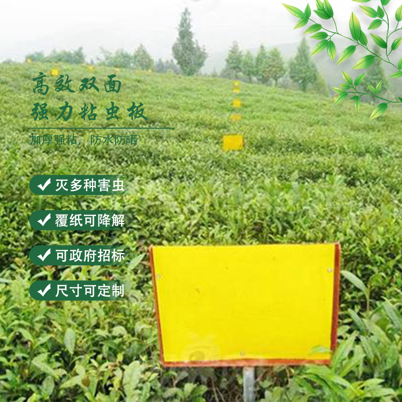 ճ壬.png